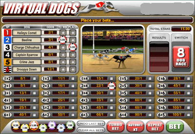 Virtual Dogs Betting Options
